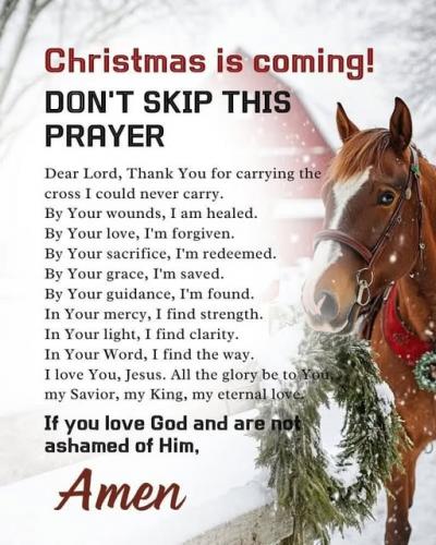 Christmas prayer  I