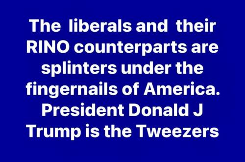 468751335_3873016189619271_975225835610532547_n