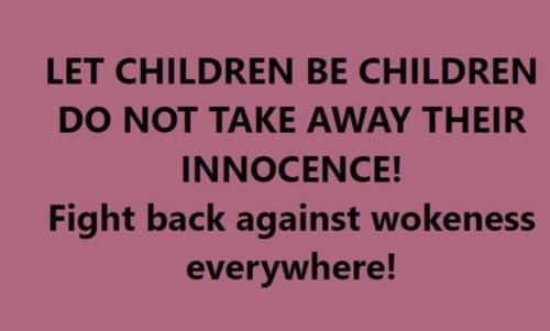 Justice for Ashley Babbitt 15