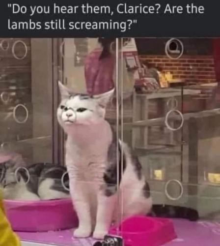 clarice