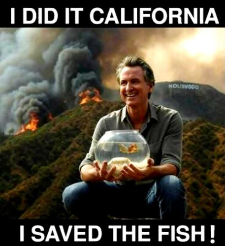 Newscum Saved The Fish