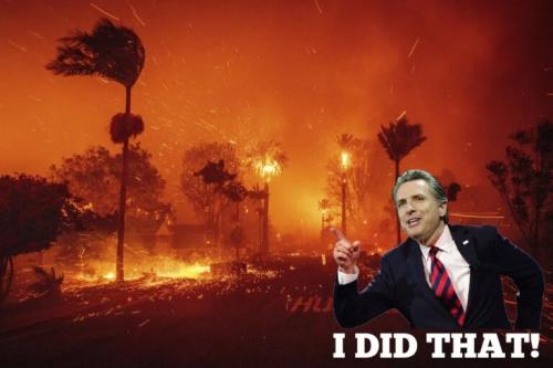 GAVIN DID IT