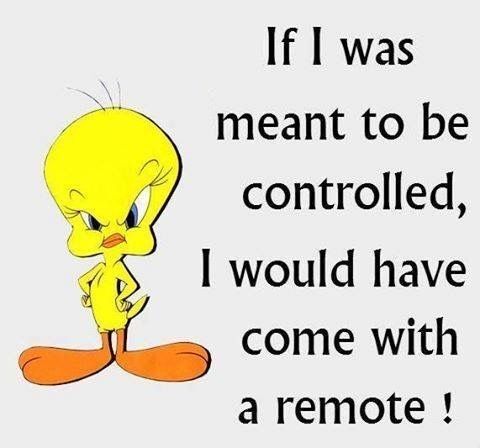 IF I was