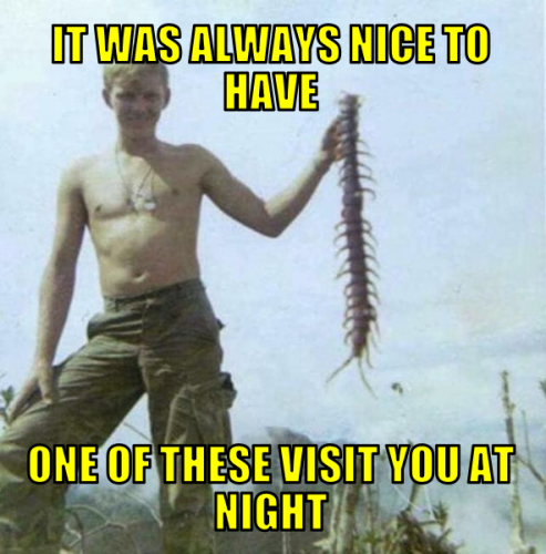 iwanthootvyan
