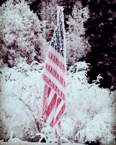 Flag - Frozen