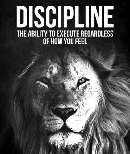 011325 - Discipline