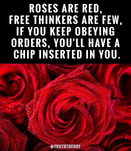 474619760_122198957216158657_1185003722090472469_n