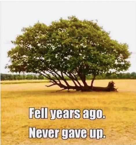 FB779A75-BE8E-457C-BED2-BD3E42DC7D95