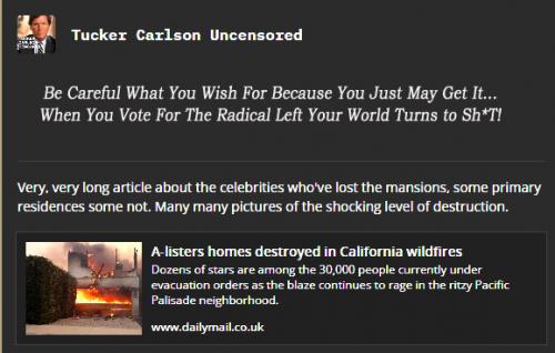 Wildfire ~Celebrities Burned Mansions~