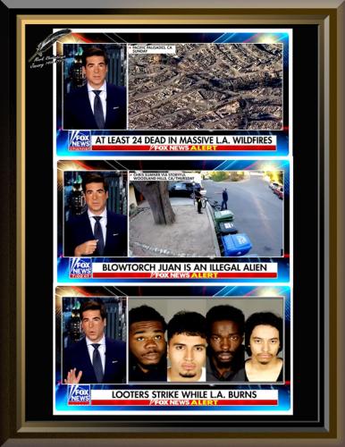 Wildfires ~Jesse Watters~ Jan 13th. 2025 Update