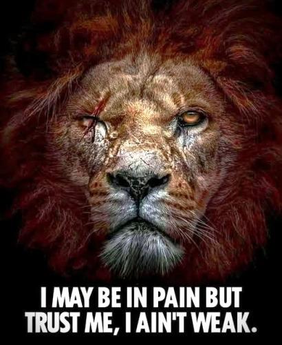 011825 - Pain vs weak