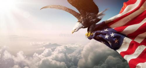 Flag - Eagle with American flag