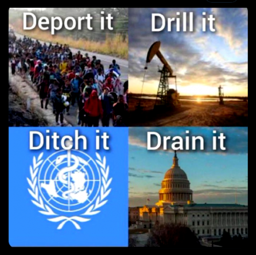 DDDD