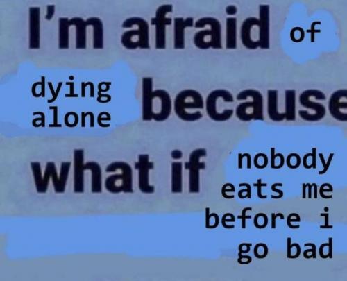 2c42db4558e7d9ed
