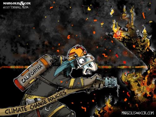 MC_Wildfires_010925-800x0