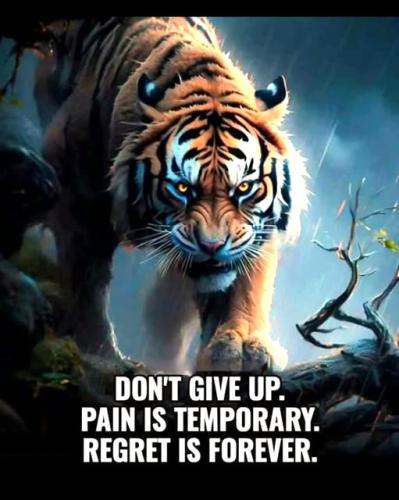 012425 - Pain vs regret