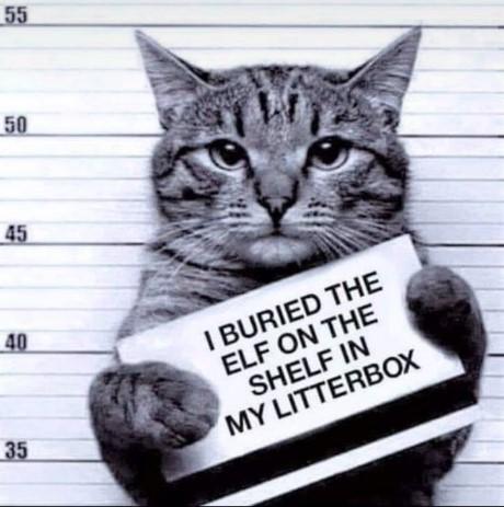 I BURIED THE