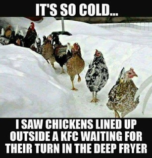 Cold Chicken