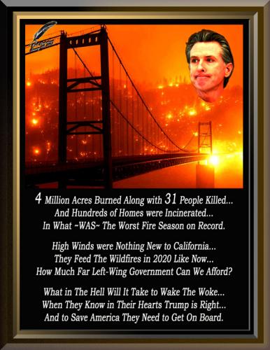 California Wildfires ~Newscum Fail~