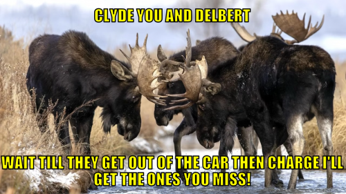 cyadwttgootctcigtoym