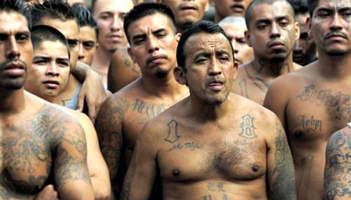 MS13 NANCYS