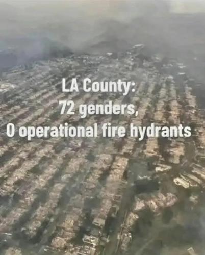 1000063648