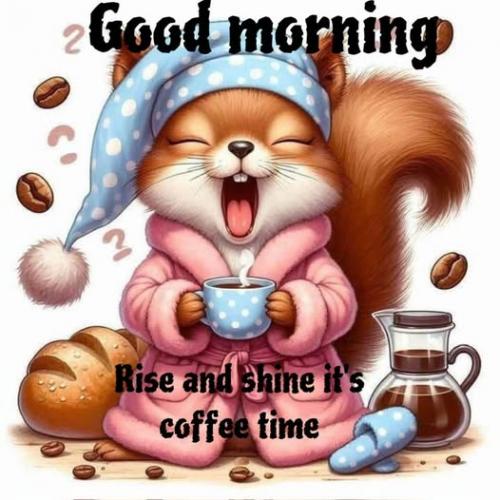 011625 - Rise & shine squirrel