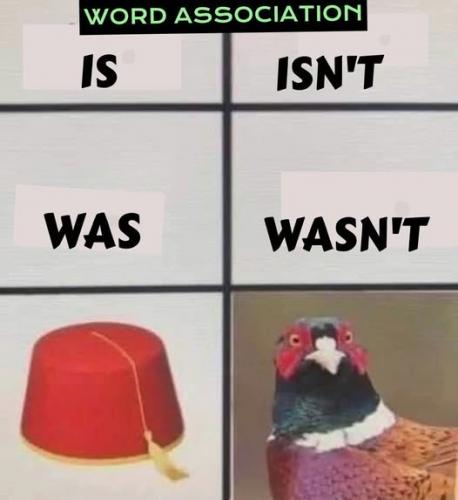 473617002_1173762734363159_7660111325387515488_n