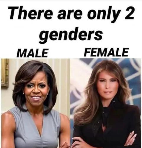 genders