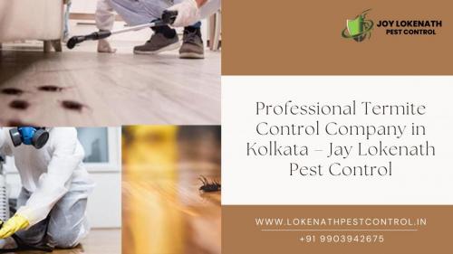 Professional Termite Control Company in Kolkata – Jay Lokenath Pest Control