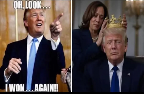 1000018594