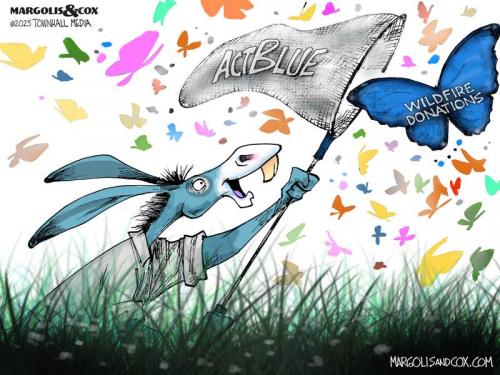MC-ActBlueScam_011325-800x0