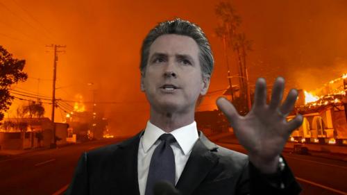 Newsom