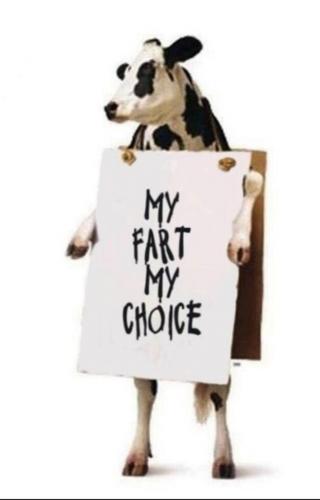 cowfart