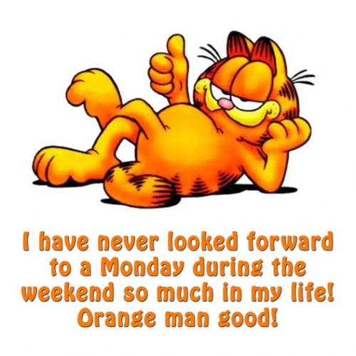 473526115_1129514378893396_2003476268551887754_n