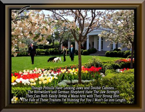 Trump ~Who Let The Dogs Out~