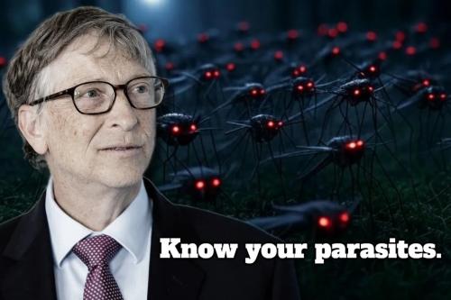Know Your parasites Bill Gates2.960px