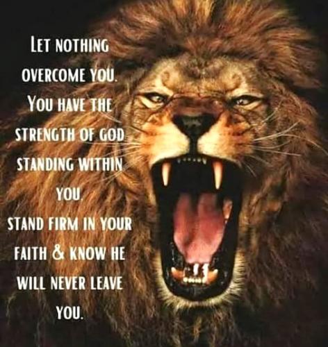 013125 - Stand Strong