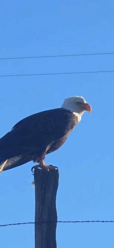 Whitman County WA photo KyT MC Jan '25