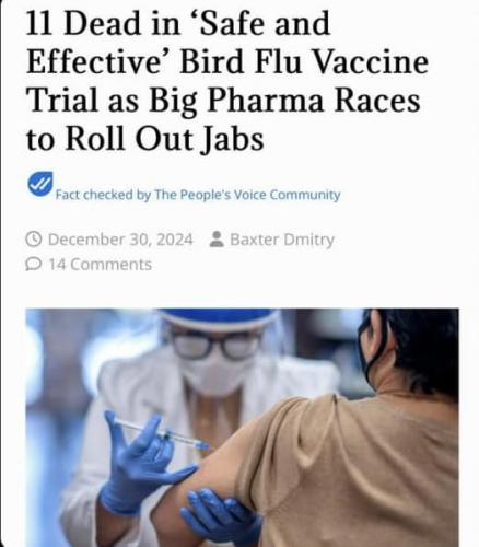 bird flu jabs