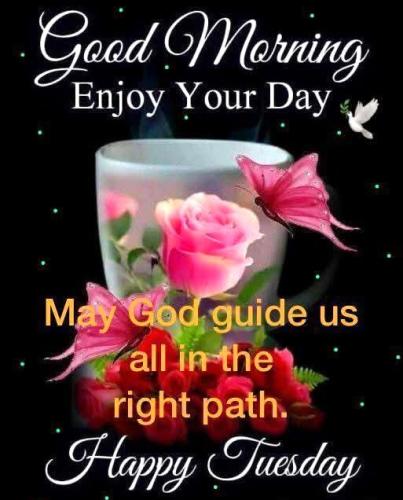 011425 - GM, right path, pink rose