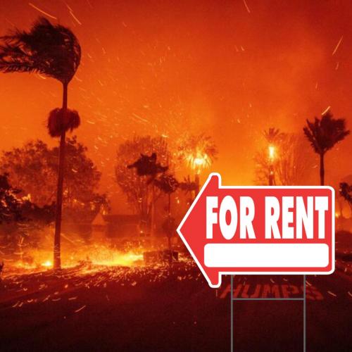 LA Fires