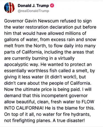 Wildfires ~Newscum Should Resign~ 2
