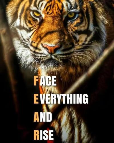 011725 - Face everything and rise