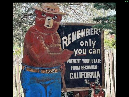 37934464-BFA3-4DA5-ADD8-969D2FF8E26A