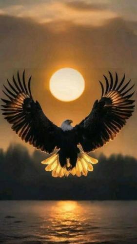Eagle 100