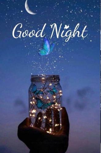 Good Night