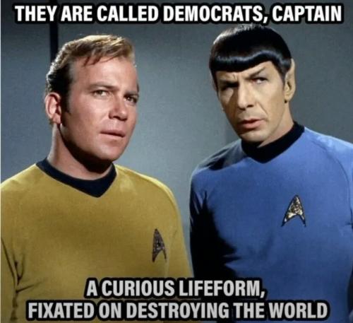 1000056208