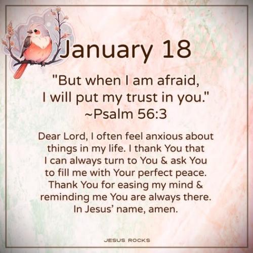 011825 - I will trust Ps 56-3