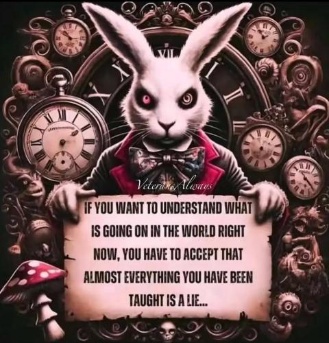 photo_2024-12-24_03-38-50 (2)